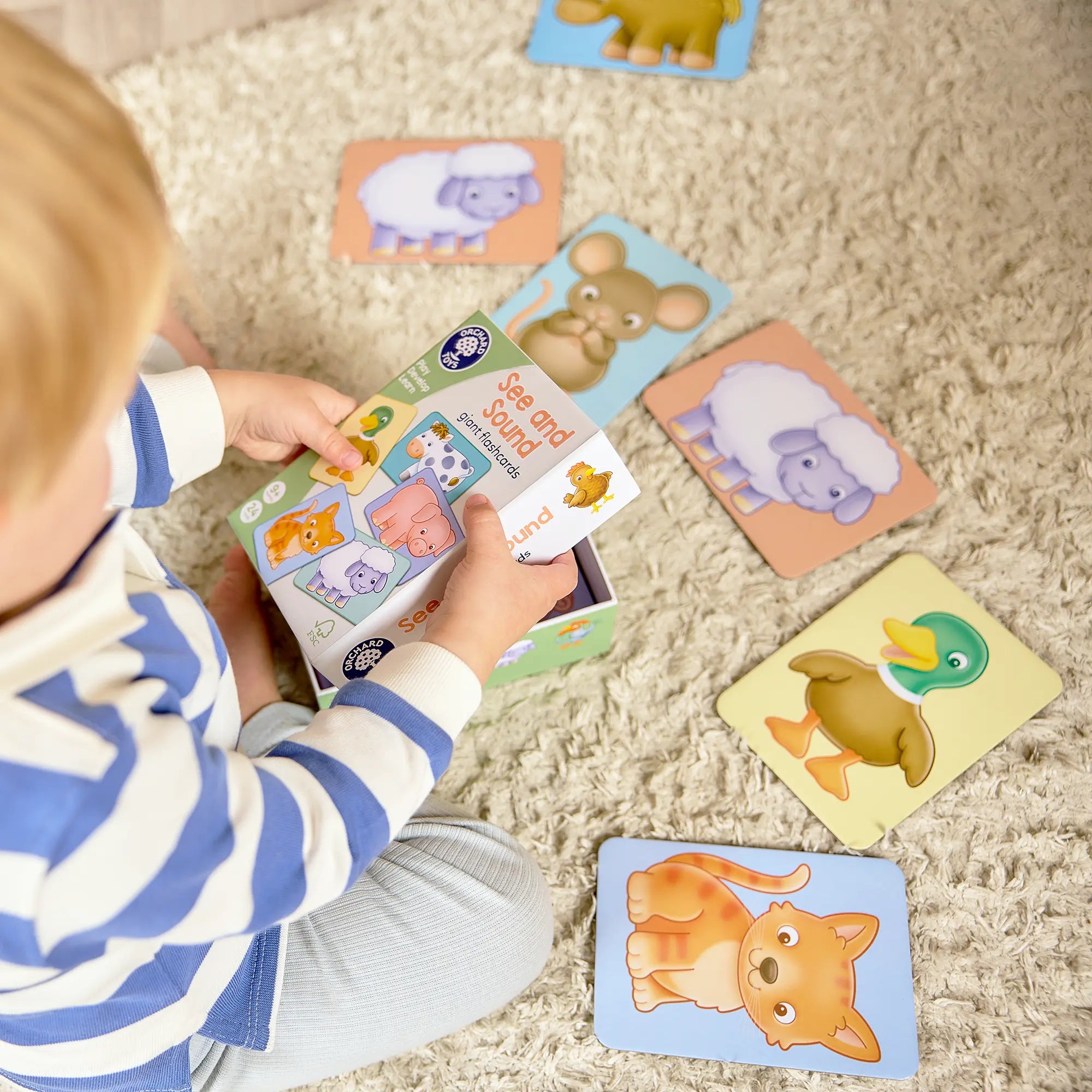 See and Sound giant flashcards