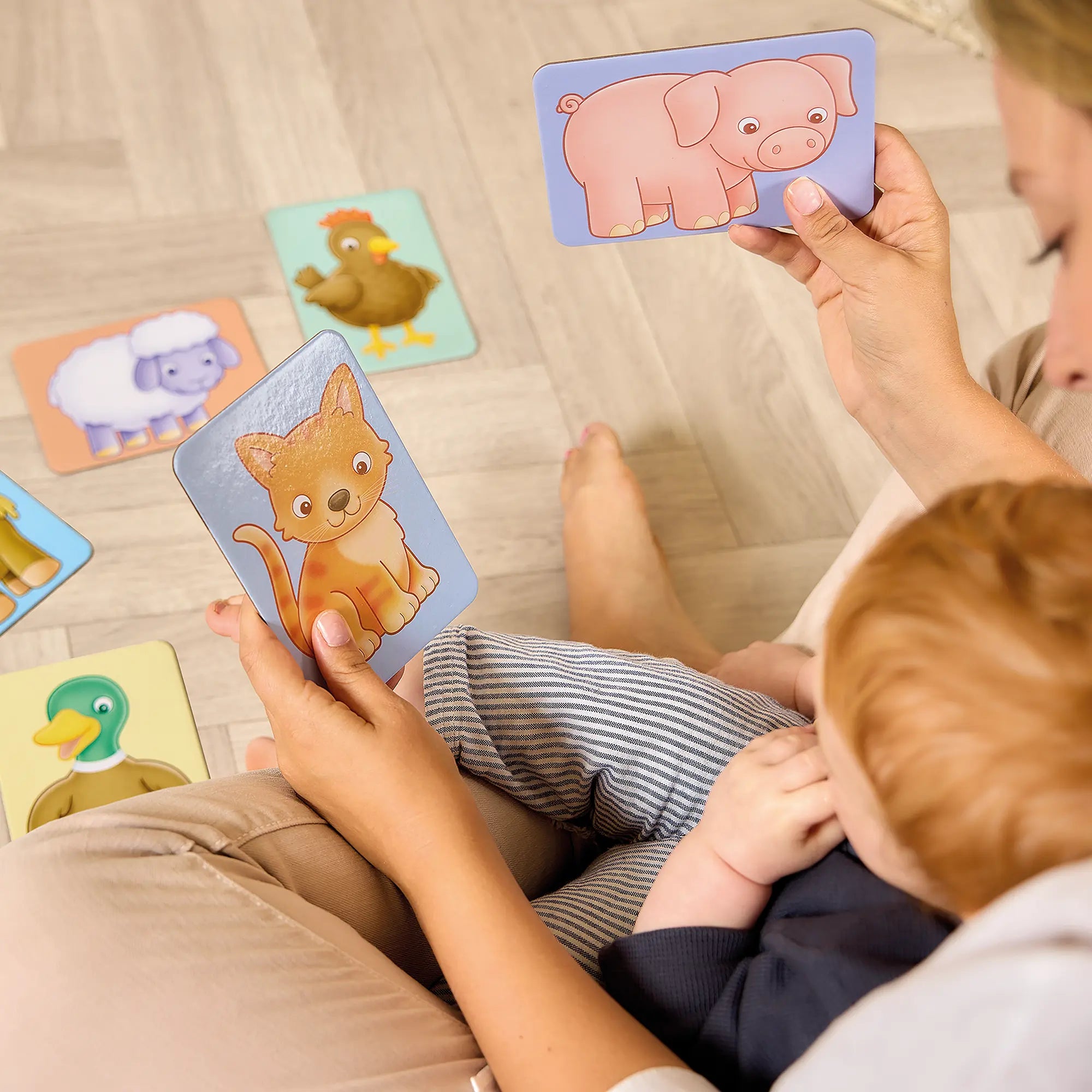 See and Sound giant flashcards