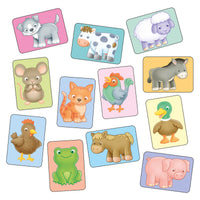 See and Sound giant flashcards