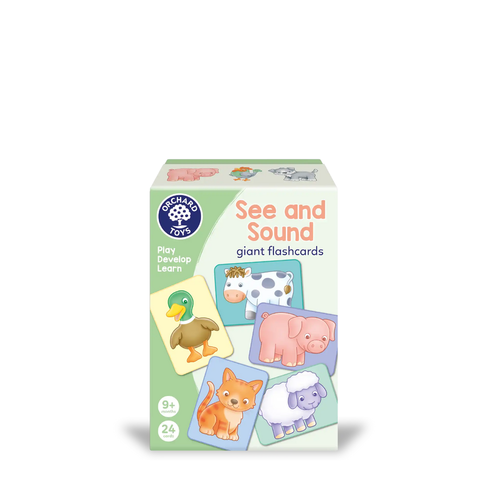 See and Sound giant flashcards