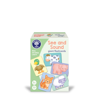 See and Sound giant flashcards