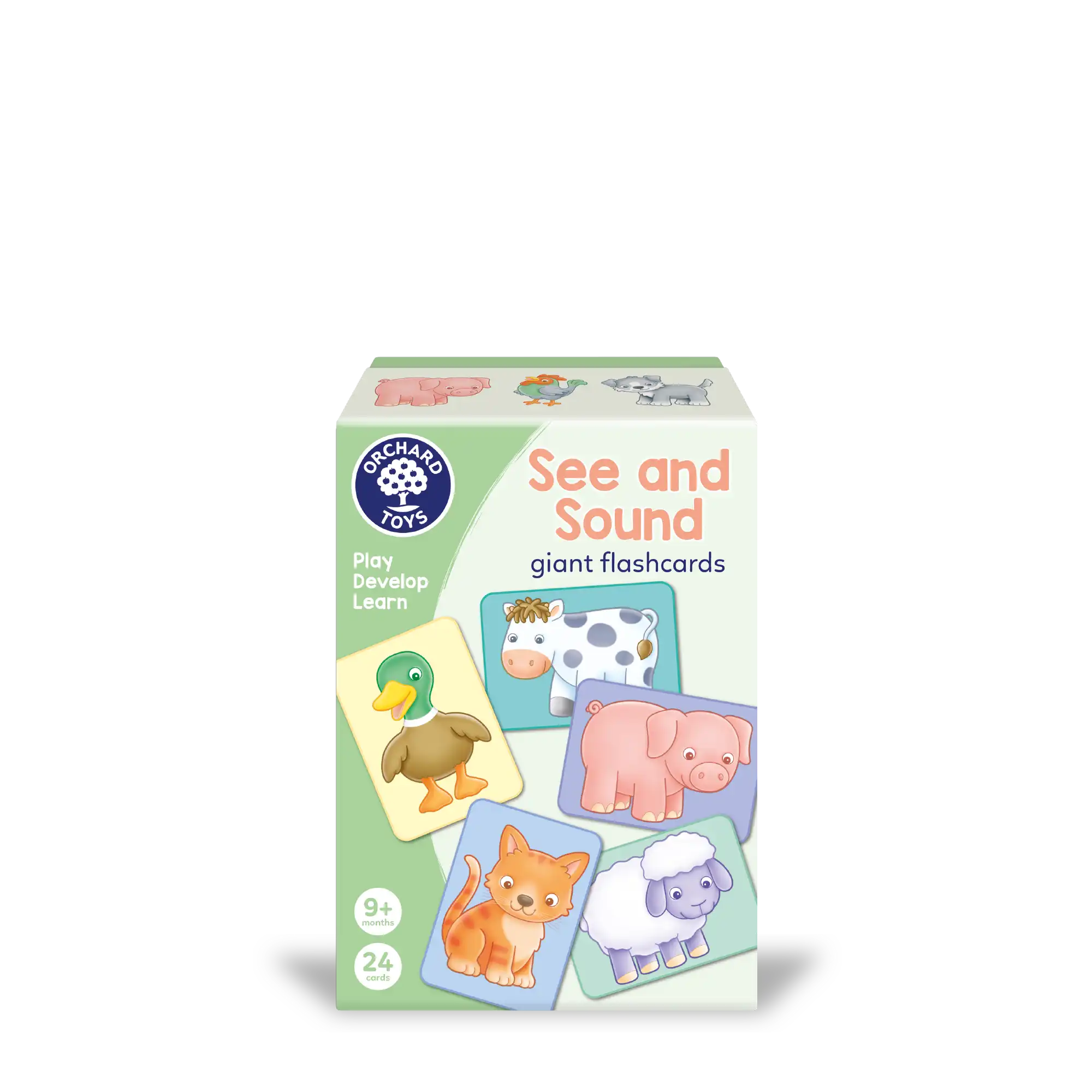 See and Sound giant flashcards