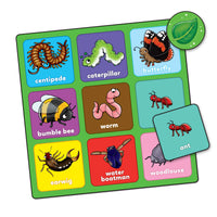 Little Bug Bingo Mini Game