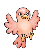bird on pkg
