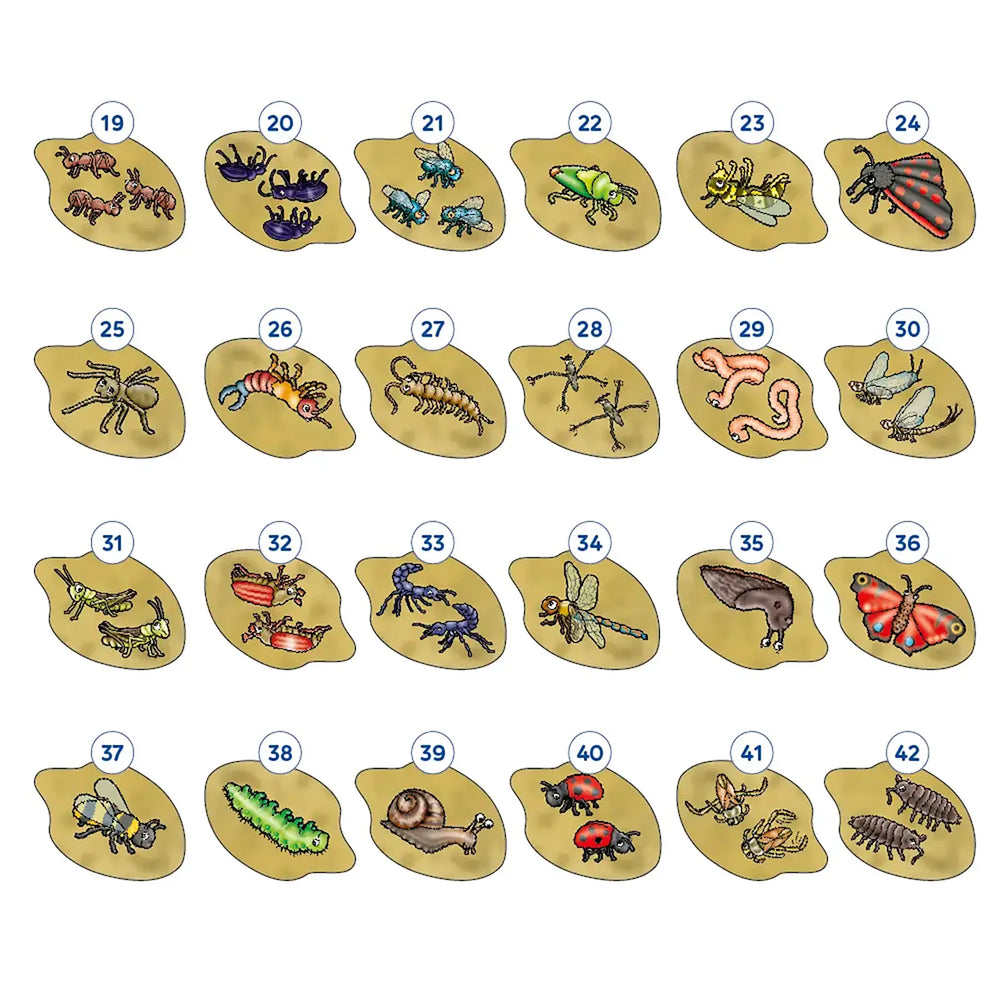 Bug Hunters Game Misplaced Pieces