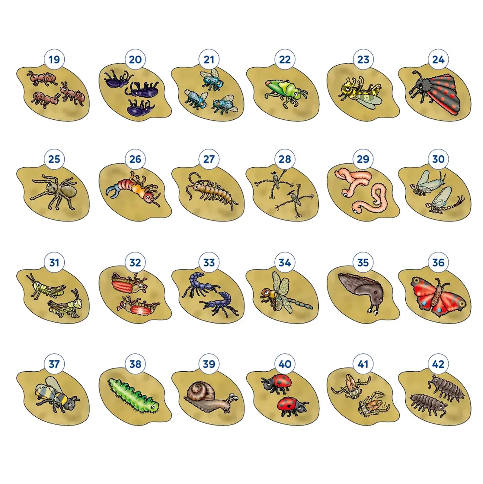 Bug Hunters Game Misplaced Pieces