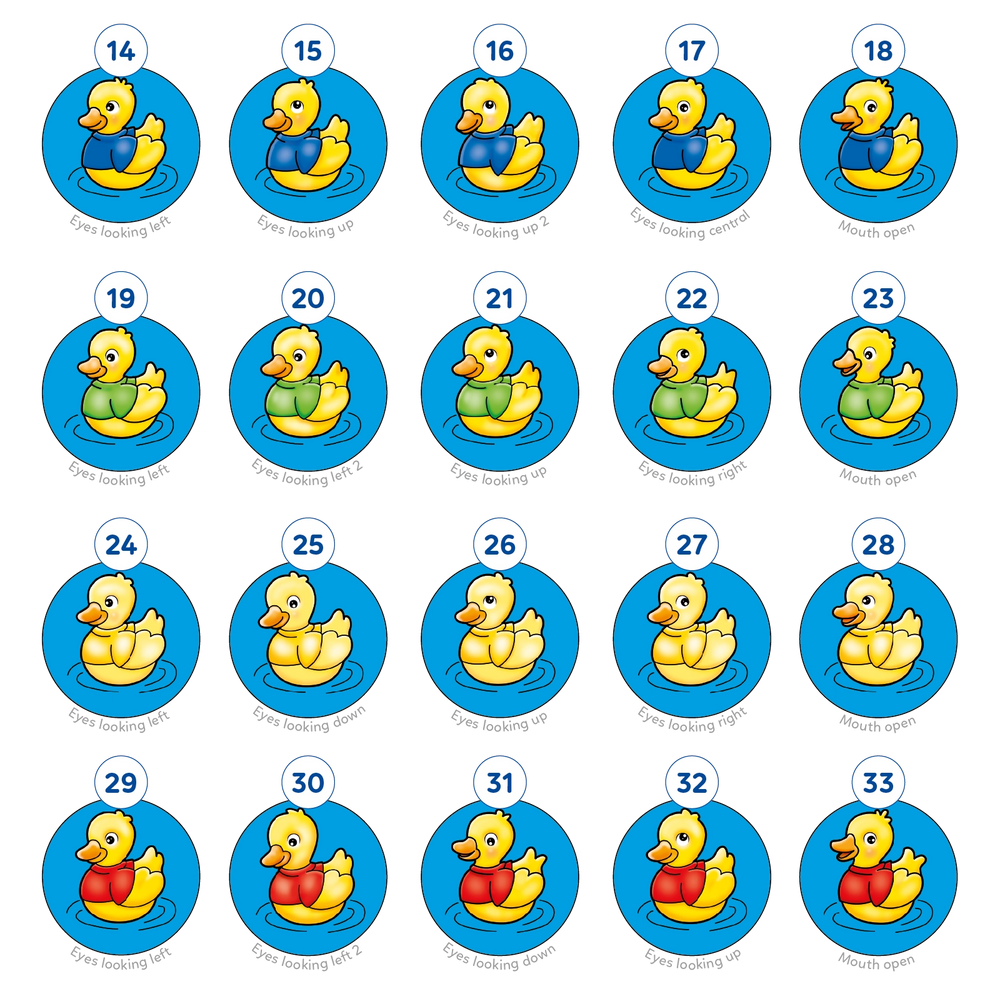 Five Little Ducks Misplaced Pieces 2