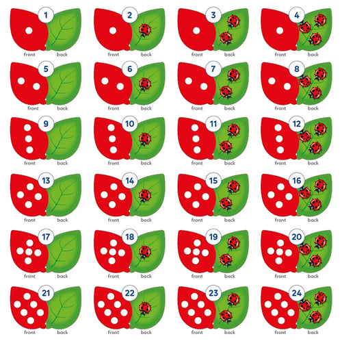 The Game of Ladybirds Misplaced Pieces