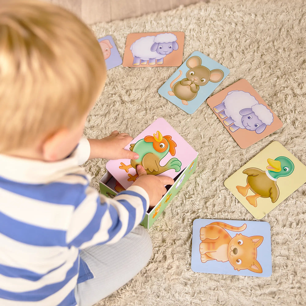 See and Sound giant flashcards