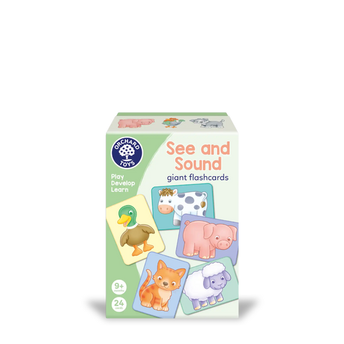 See and Sound giant flashcards