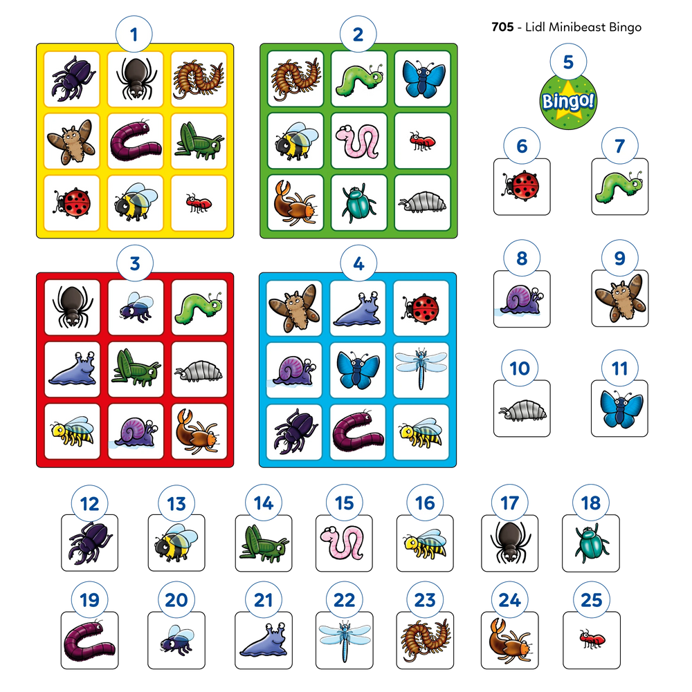 Minibeast Bingo Game Misplaced Pieces