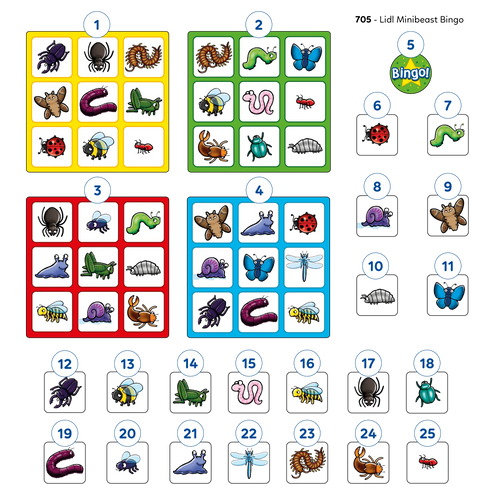 Minibeast Bingo Game Misplaced Pieces