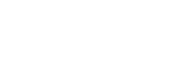 Bluey Bluey logo 1
