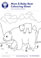 bear colouring sheet min