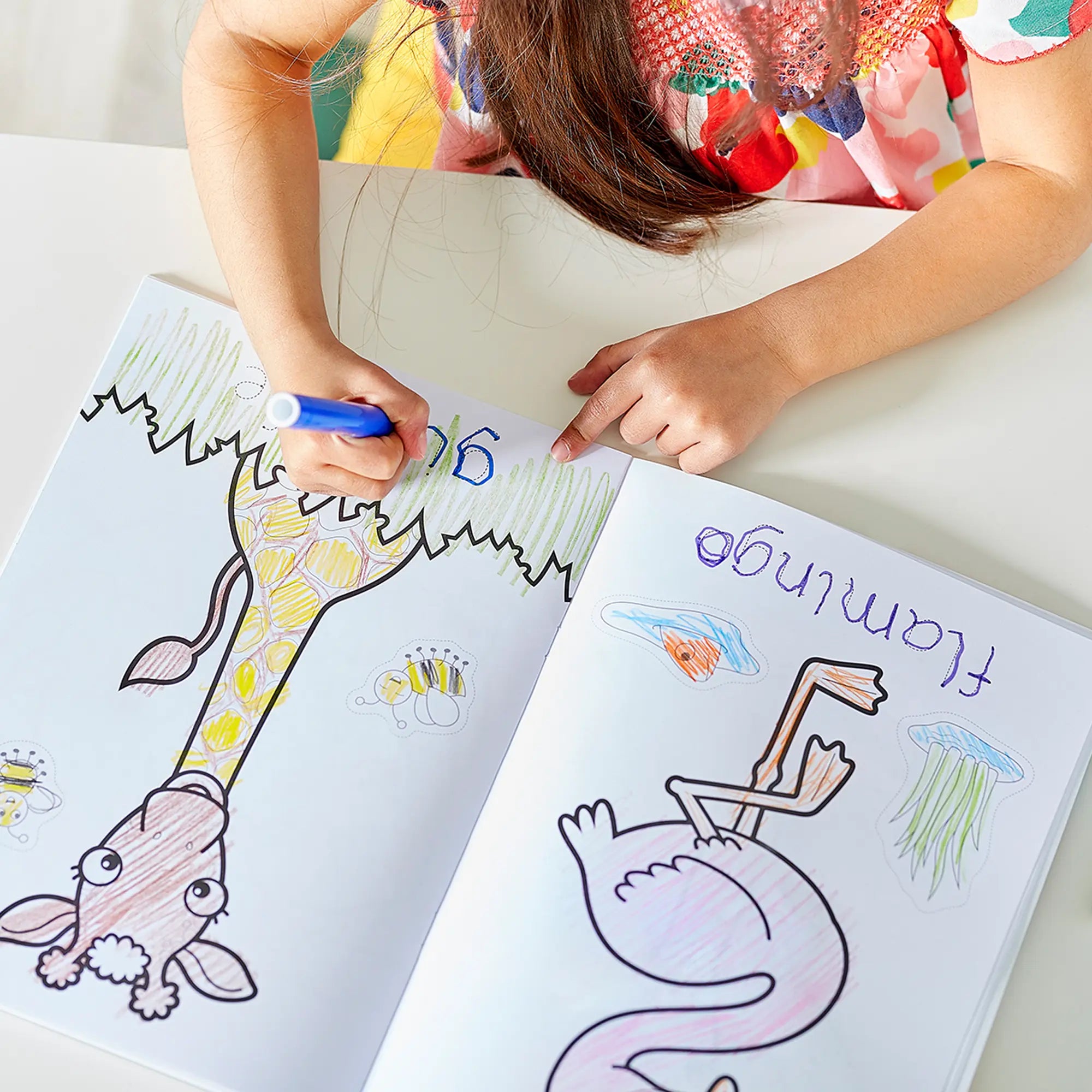 Animals Colouring Book