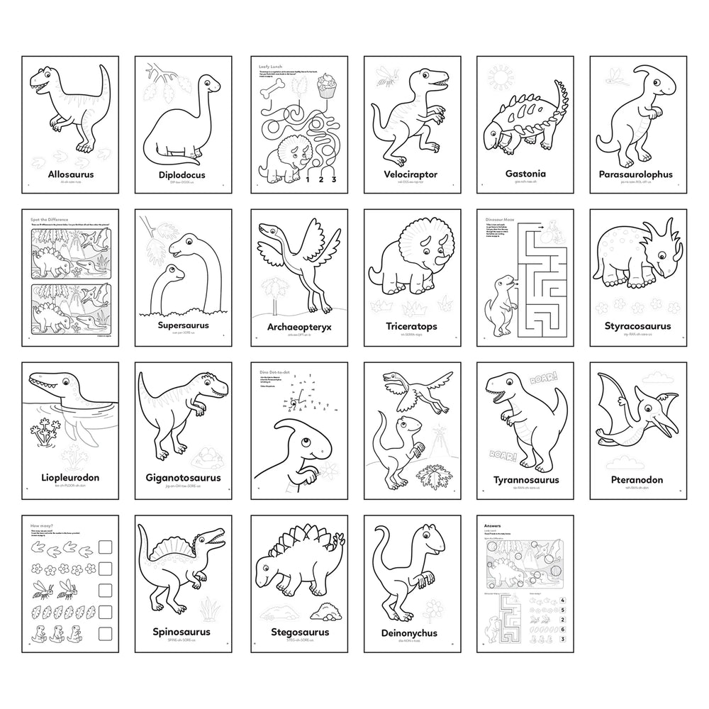 Dinosaurs Colouring Book