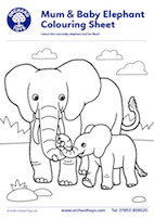 elephant colourig sheet min
