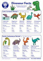 Dinosaur Facts