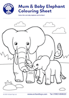 Elephant Colouring Sheet