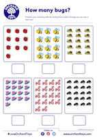 How MAny Bugs