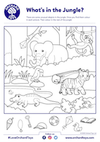 What's in the Jungle?