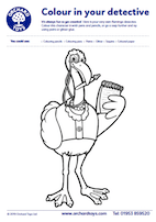 Sound Detectives Flamingo Colouring Sheet
