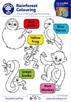 Rainforest Colouring
