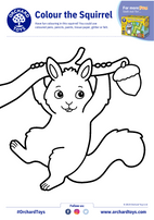 Colour the Squirrel
