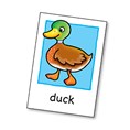 Flashcards