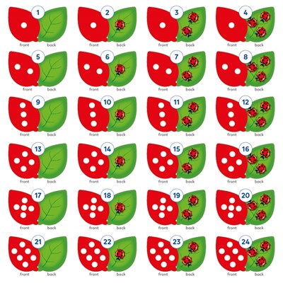 The Game of Ladybirds Misplaced Pieces