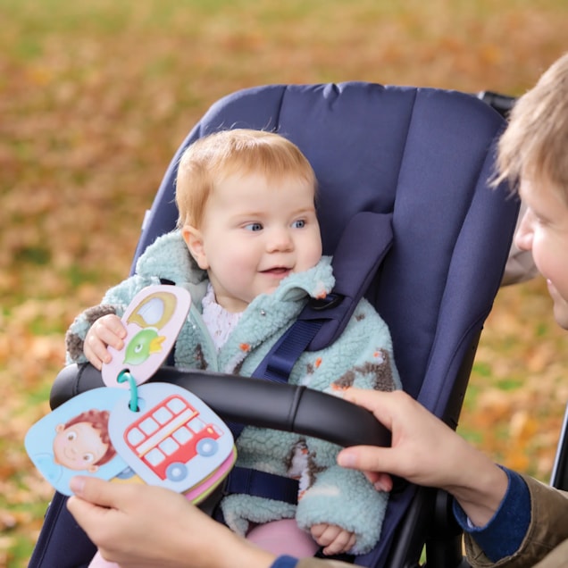 Out and About buggy flashcards
