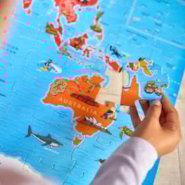 Map of the World Jigsaw Puzzle