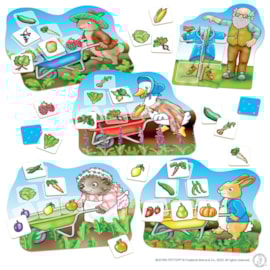 Peter Rabbit™ Veg Patch Lotto Game