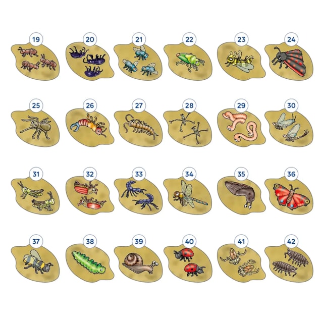 Bug Hunters Game Misplaced Pieces Bug Hunters Game Misplaced Pieces