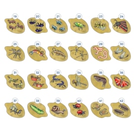 Bug Hunters Game Misplaced Pieces