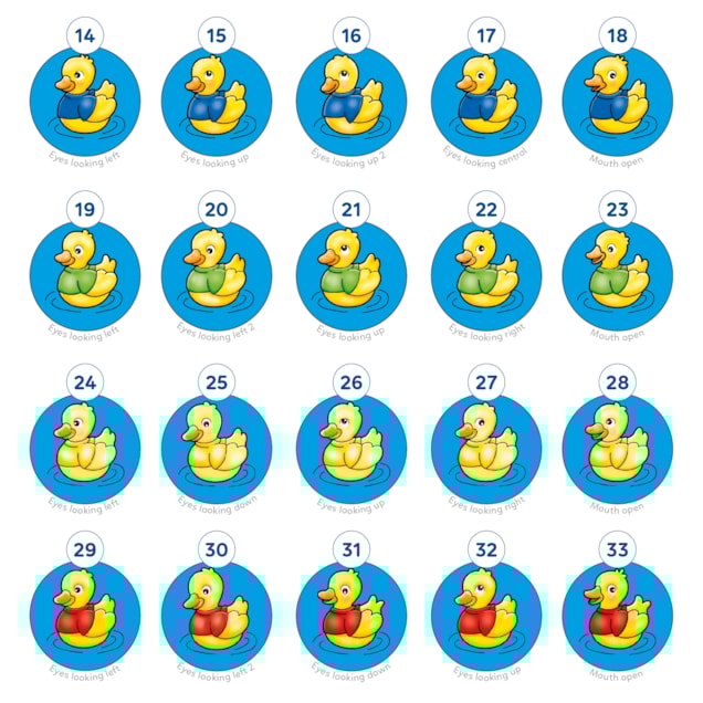 Five Little Ducks Misplaced Pieces 2