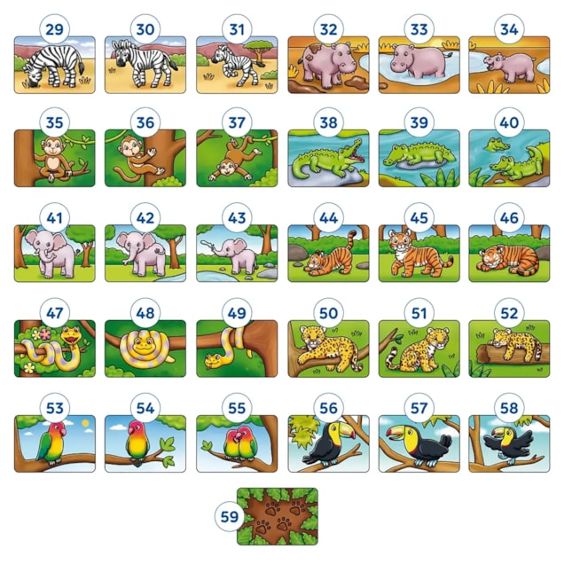 Jungle 3 In A Box Misplaced Pieces Jungle 3 In A Box Misplaced Pieces