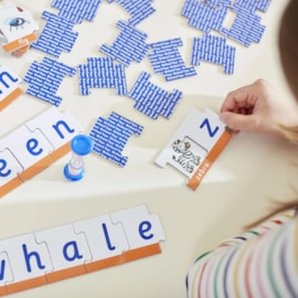 Speed Spelling Game
