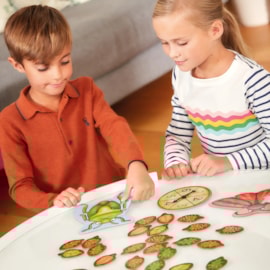 Bug Hunters Game Bug Hunters Game