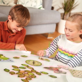 Bug Hunters Game Bug Hunters Game