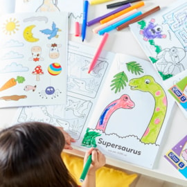 Dinosaurs Colouring Book | With Stickers | Only £3