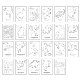 Dinosaurs Colouring Book