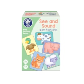 See and Sound See and Sound