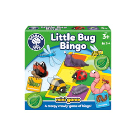 Little Bug Bingo Mini Game