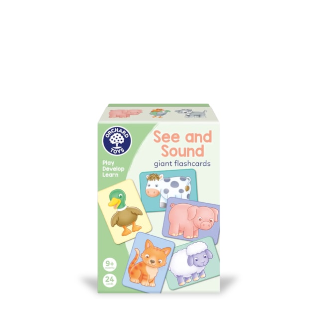 See and Sound giant flashcards See and Sound giant flashcards