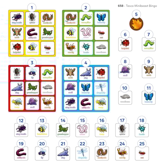 Minibeast Bingo Game Misplaced Pieces 2nd version