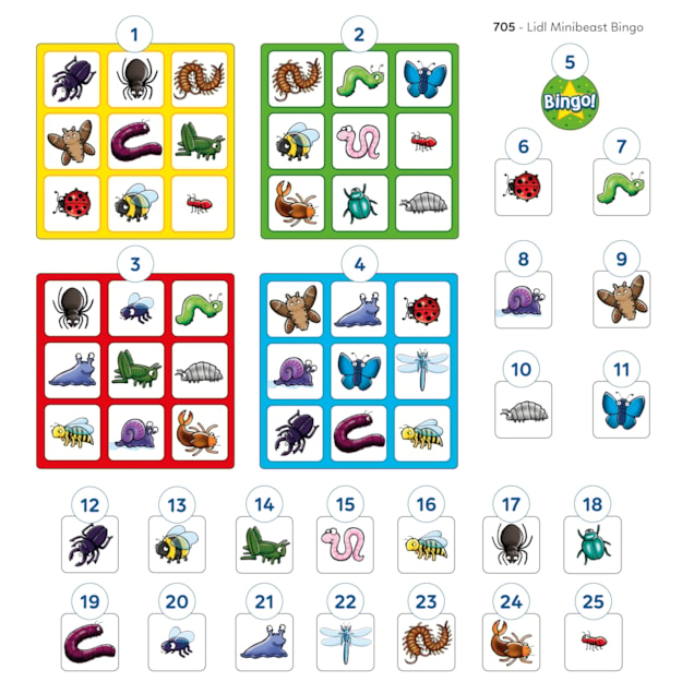 Minibeast Bingo Game Misplaced Pieces