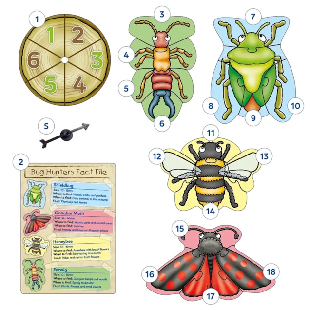 Bug Hunters Game Misplaced Pieces
