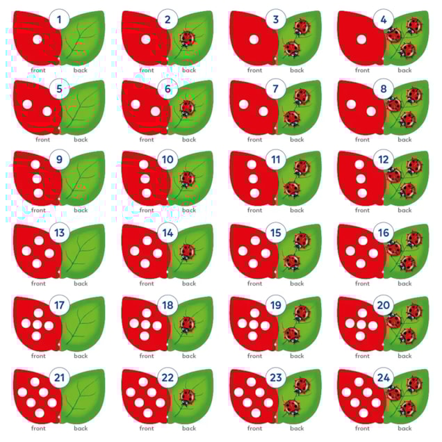 The Game of Ladybirds Misplaced Pieces The Game of Ladybirds Misplaced Pieces